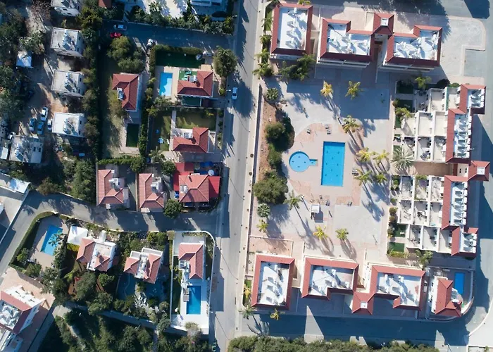 Nissi Martha アヤナパ